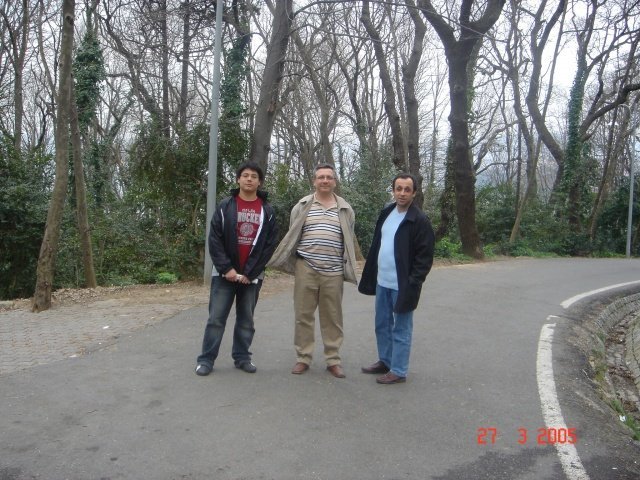 2005- 05-2 2005- 05-2